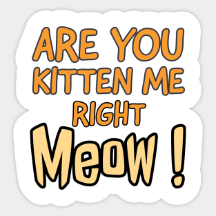 Are you kitten me right meow Sticker
